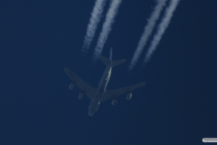 DSCN6893