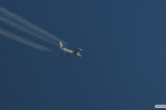 DSCN7004