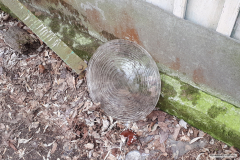 20190330_110657