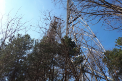 20190330_120452