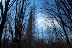 20190330_124154