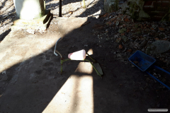 20190330_132029