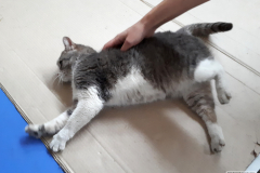 20190515_145824