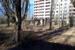 20190330_154218