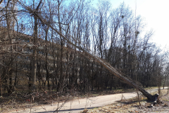 20190330_154823