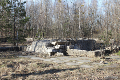 IMG_5877