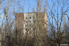 IMG_5881