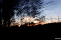 20190330_182745